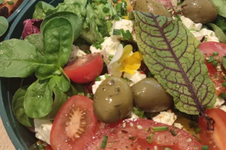 Frische Blattsalate mit Tomaten, Oliven und Käse
